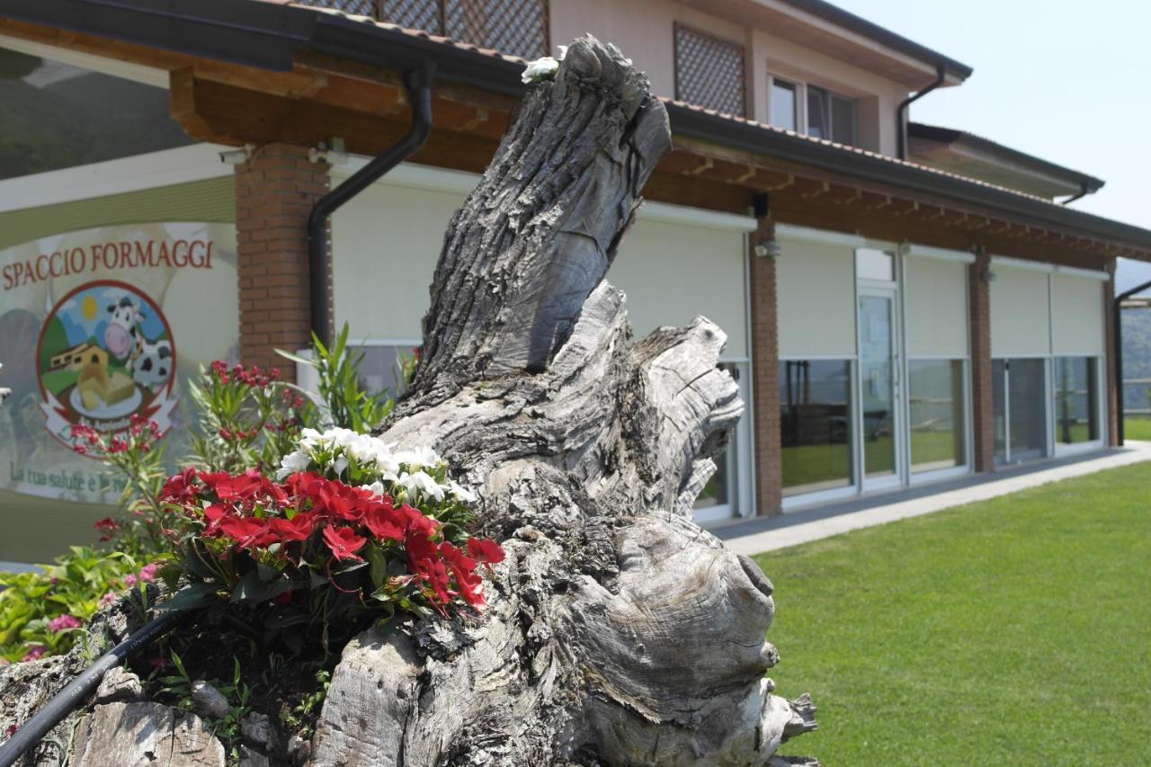 Agriturismo Fattoria Monte Baldo Vista Lago Caprino Veronese Bagian luar foto