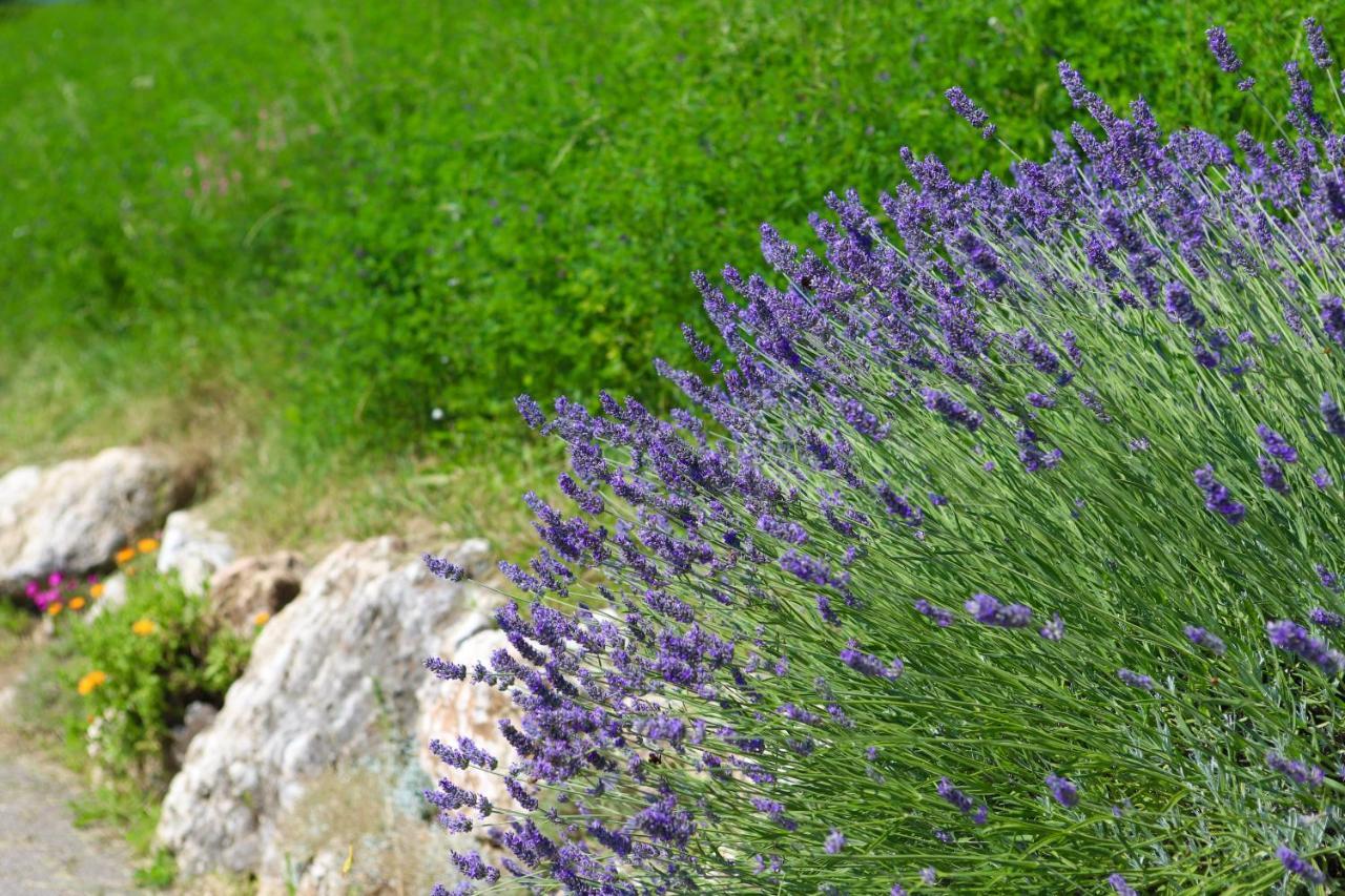 Agriturismo Fattoria Monte Baldo Vista Lago Caprino Veronese Bagian luar foto